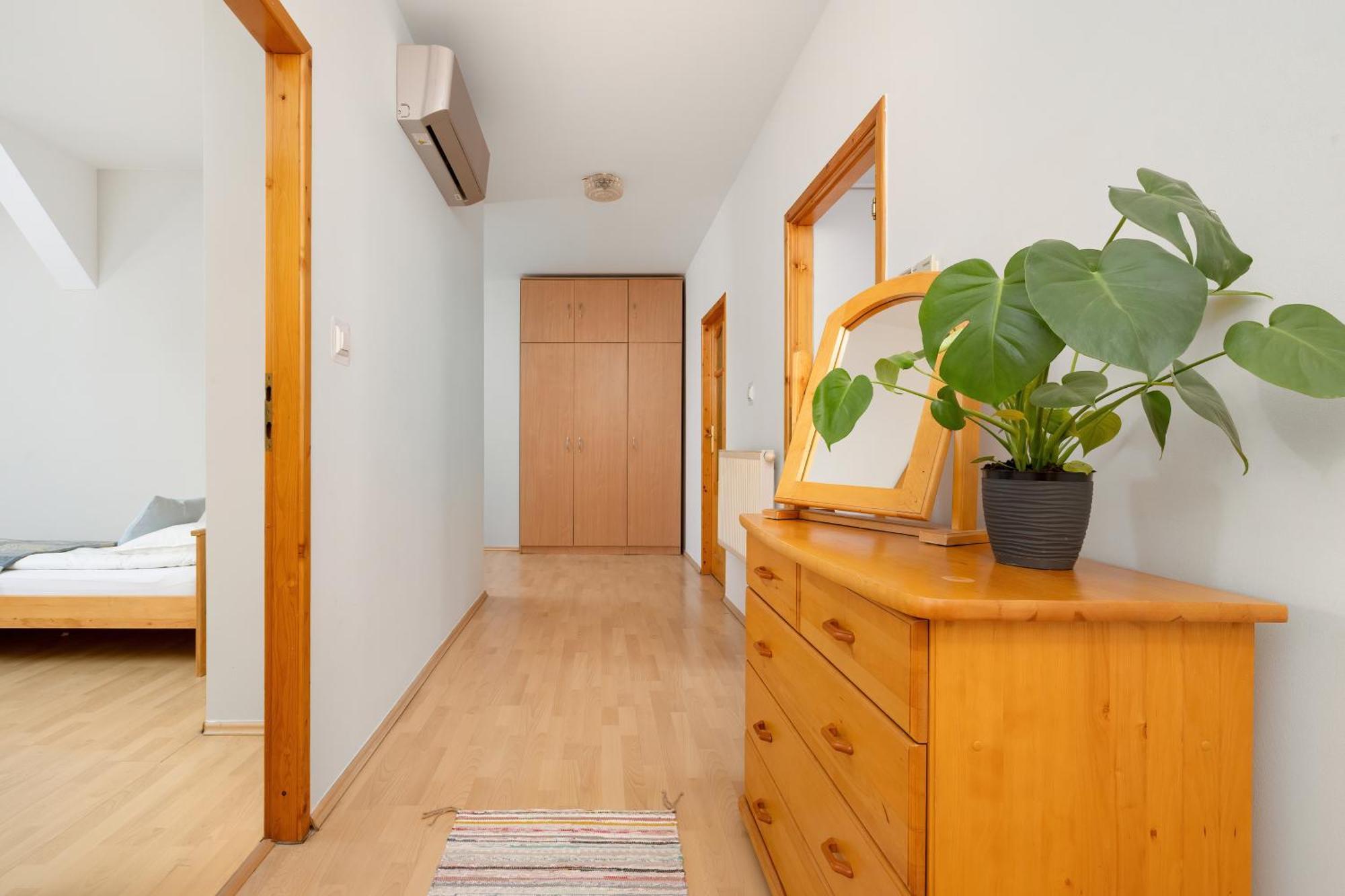 Sunshine Apartment كراكوفيا المظهر الخارجي الصورة
